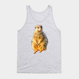 Meerkat on guard Tank Top